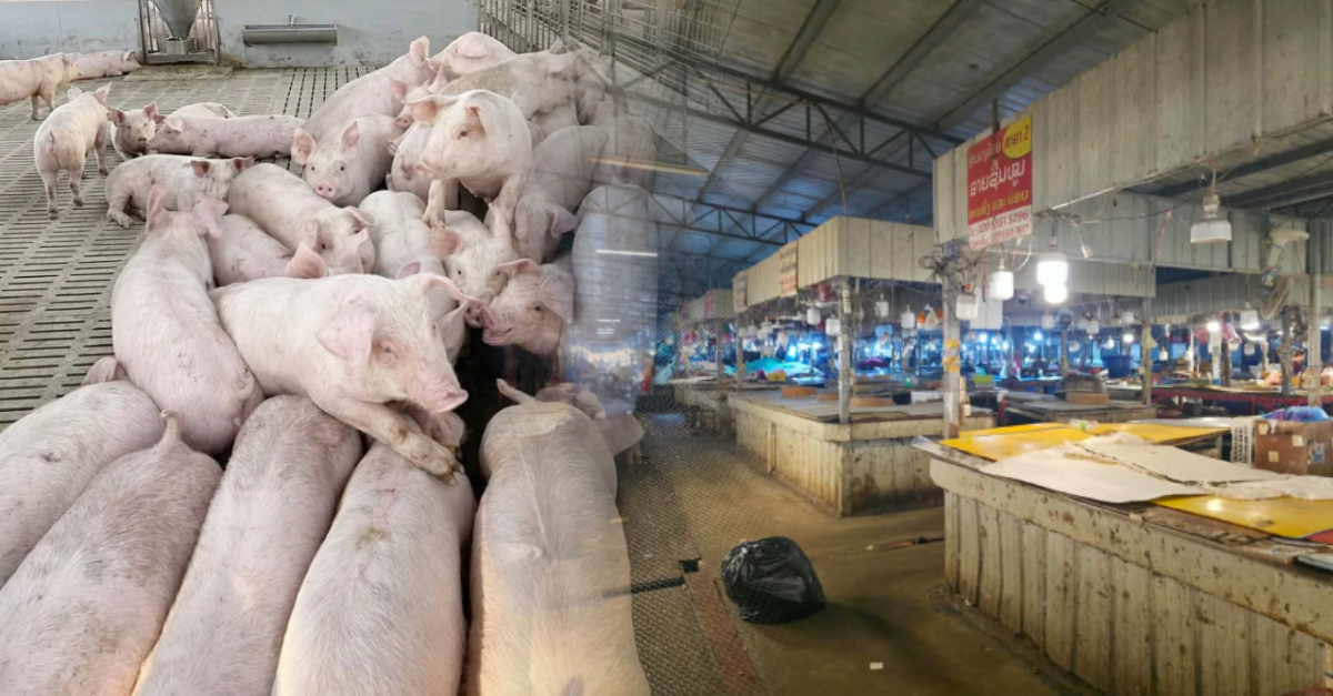 African Swine Fever Cripples Pork Supply in Vientiane, Sending Beef Prices Higher